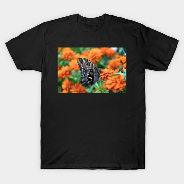 Schmetterling / Swiss Artwork Photography T-Shirt by RaphaelWolf